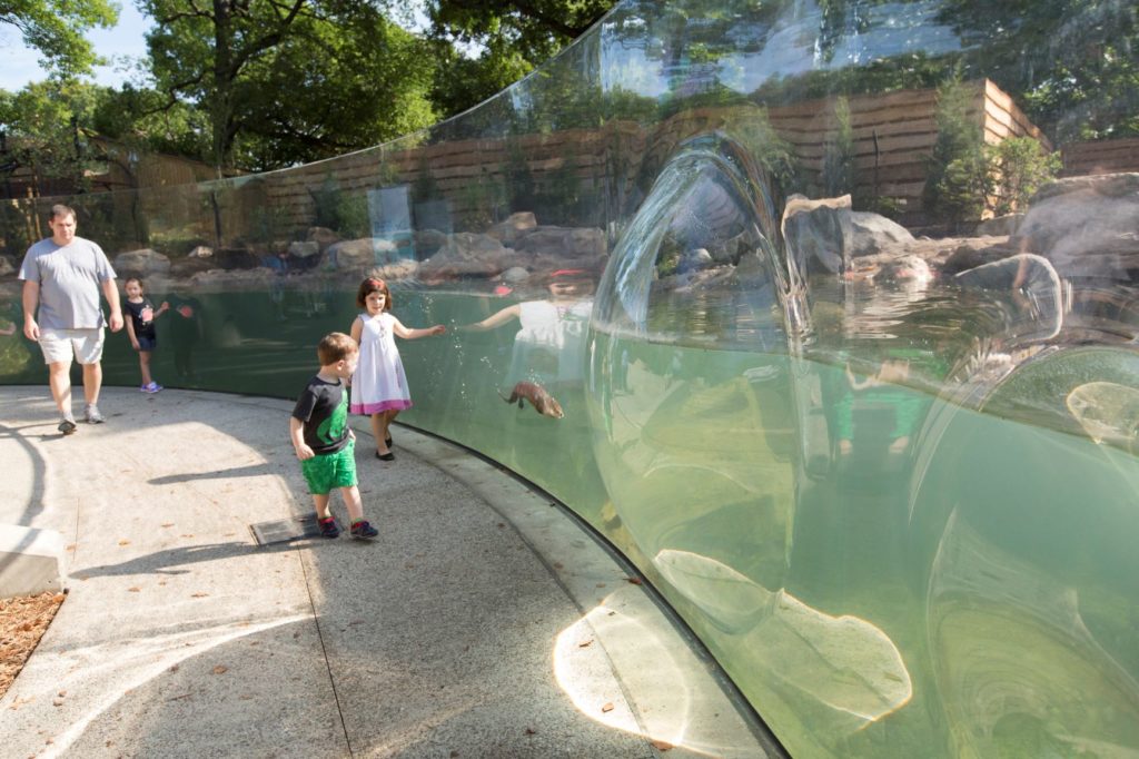 Children greet otters at the Perkins Wildlife Center.